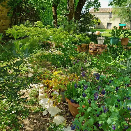Maisonnette Dans Le Marais Poitevin * Niort